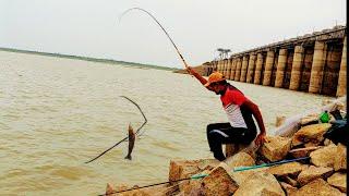 very small Hook fishing|catching big shrimps|singoor dam