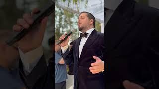 משה דוויק - בראשית עולם | חופה מהממת ביער