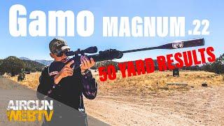 50 YARD SILHOUETTE - with the Gamo Magnum Swarm 10X Gen 2 in .22 With H&N Baracuda Hunters