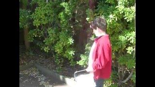 Easter Egg Hunt 2009