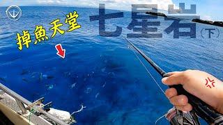 驚人的生態！掉魚天堂七星岩！被電到生無可戀！#鵝大人 #釣魚 #七星岩