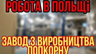 Робота в Польщі 2.0 #7 Завод з виготовлення попкорну з середини