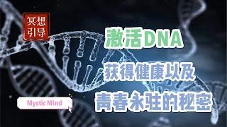 【冥想引导】激活DNA冥想引導，青春永駐的秘密，激發自己的潜能 Guided Meditation