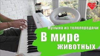 Работы учеников - А. Меркурьев - В Мире Животных (П. Мориа "Жаворонок") - Уроки фортепиано