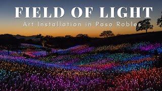 Sensorio: Field of Light Art Installation with over 50,000 Lights in Paso Robles