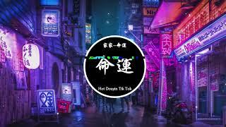 家家 - 命运 (DJ抖音版 2022)