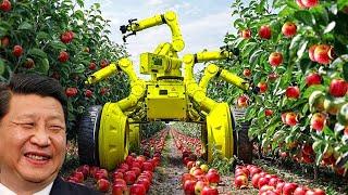 China Develops Apple Harvesting Machines and Processing Lines with Remarkable Efficiency