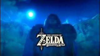 Zelda Night Ambience | Relaxing Breath of the Wild Music Mix | Calm, Sleep, Focus, Chill