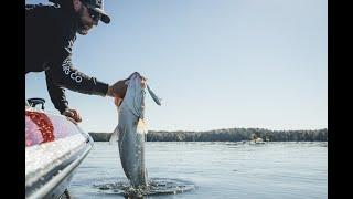 The CAST OG - Topwater Bass Fishing in America