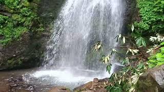 Hiking in Mtirala National Park, walking tour