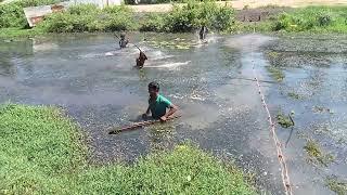 Trapping fish  in small lake in Sri Lanka in village  style catch fish