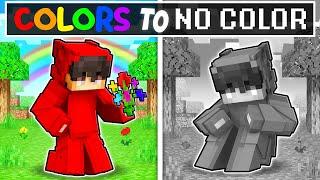 Our COLORS are GONE in Minecraft!