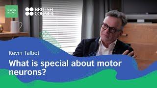 Motor Neurons — Kevin Talbot / Serious Science