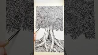 From a blank page to a full tree  #shorts #drawing #art #illustration #howtodrawatree #zen #zenart