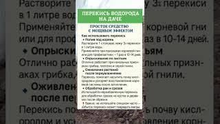 ПЕРЕКИСЬ ВОДОРОДА НА ДАЧЕ  ЭФФЕКТИВНО И ПРОСТО 