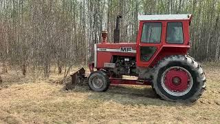 Massey 1105 Pulling Out Trees For A Garden