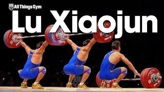 Lu Xiaojun 175kg Snatch 177kg World Record Attempt 2015 World Weightlifting Championships