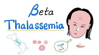 Beta Thalassemia - Causes and Types - minor, Major & Intermedia - Hematology