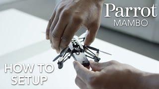 Parrot Minidrones - MAMBO - Tutorial #1: Setup
