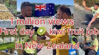 First day of work in New Zealand  || kiwifruit picking  || kabaddi player