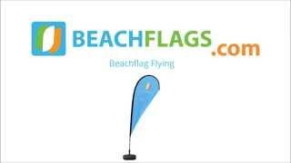Beachflag Flying, Beach Flag Flying