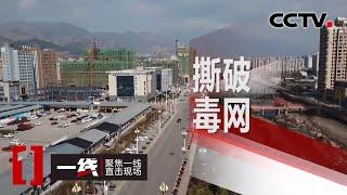 《一线》 撕破毒网 20200430 | CCTV社会与法