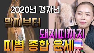 [2020년 띠별운세] - 2탄 말띠 양띠 원숭이띠 잔나비띠 닭띠 개띠 돼지띠 2020년 운세 띠별로 공개합니다 어떤 띠가 대운이 들어올지 확인해보세요