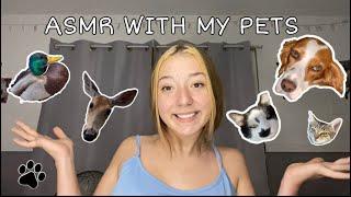 ASMR With My Pets!(chaotic)