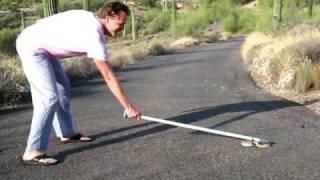 scott winters catches a rattlesnake