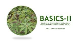 Basics-II Year 2 in picture