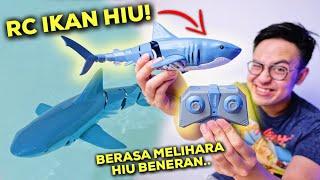 PELIHARA IKAN HIU! NURUT & BISA DIATUR-ATUR  | SAVAGE SHARK CRUZER SPEED FURY UNBOXING & REVIEW