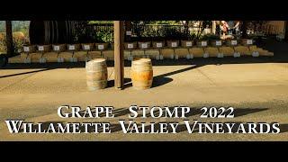 Willamette Valley Vinyards - Grape Stomp 2022