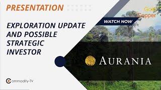 Aurania Resources: Exploration Update and Potential Strategic Investor Boost the Share Price