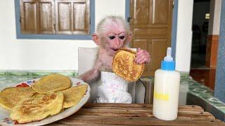 Monkey Poor enlisted woke up early to wake up Hong to cook breakfast!