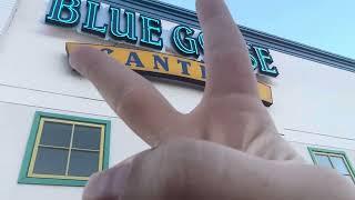 Blue Goose Cantina Food Review!!