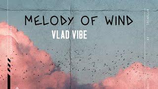 VLAD VIBE - MELODY OF WIND