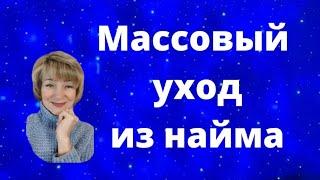 Массовый уход из найма #онлайнбизнес #заработоквинтернете #бифри #автохаус #бизнесбезрисков #доход