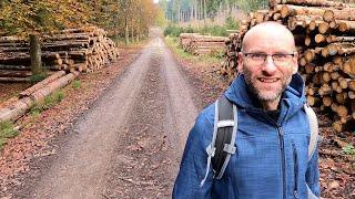 Wanderung vom Kreuzkrug in Schlangen Richtung Räuberhöhle mit gruseliger Entdeckung im Wald