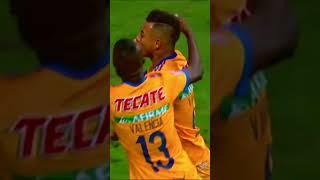 Feliz 10 de Dic Tigres Vs Rayados 2017