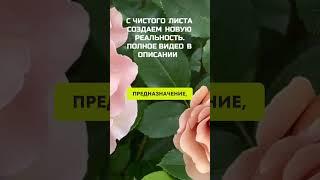 МОЯ МИССИЯ