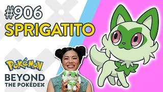 Sprigatito | Beyond the Pokédex – Entry #906