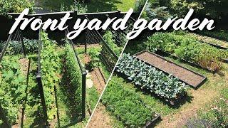 My Front Yard Vegetable Garden Layout | Summer Tour