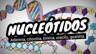 NUCLEÓTIDOS del ADN y ARN[¿que son?] Fácil y sencillo en 3 minutos