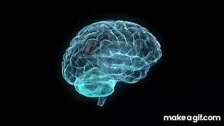 Sleep to Neuroscience -- Over 1 Hour on the Science of The Brain -- Sleep Smart Series