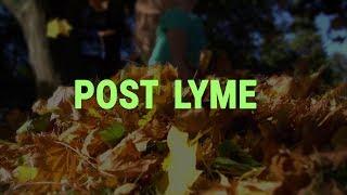 Post Lyme: Hidden Hardship, Hidden Epidemic (Free Documentary)