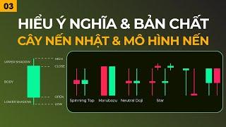 Bài 3 -  Hiểu Thật Sự Ý Nghĩa & Bản Chất Của Cây Nến Nhật Và Mô Hình Nến || Tuệ Trading