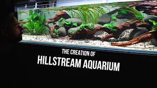 HILLSTREAM AQUARIUM | Step by step AQUASCAPE nature style | RIVER AQUARIUM | EP1