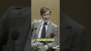 Dave Allen - hedgehogs - Stand Up Gags