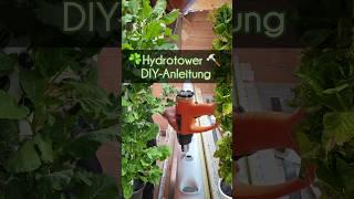 Die Anleitung findest du unter https://frankies-garten.de/diy-hydro-tower-selber-bauen/.