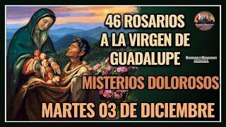 46 ROSARIOS A LA VIRGEN DE GUADALUPE: MISTERIOS DOLOROSOS - GUADALUPANO / MARTES 03 DICIEMBRE 2024.